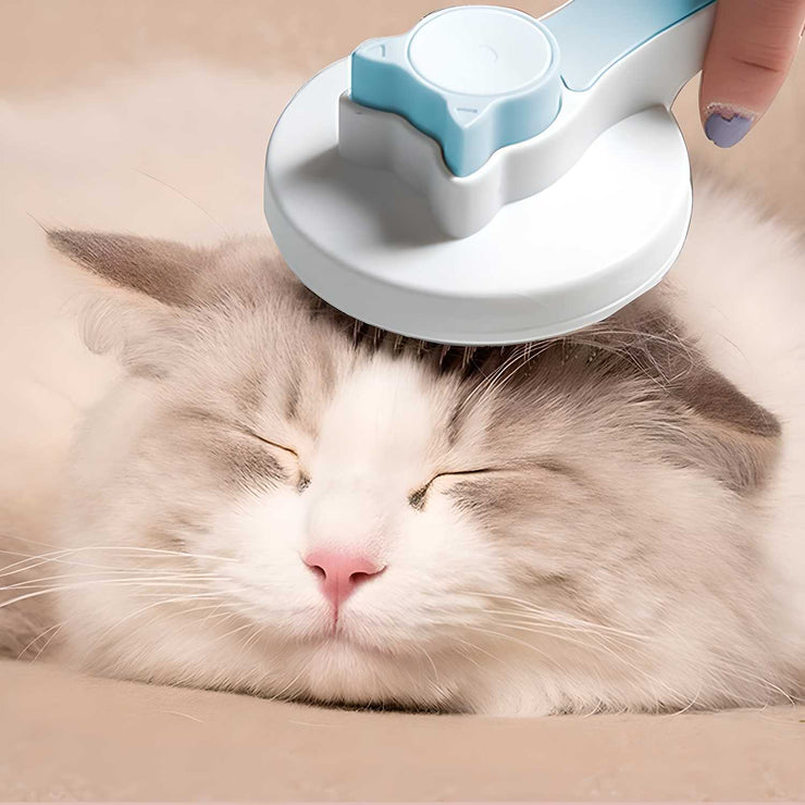 Pet Hair Removal Brush