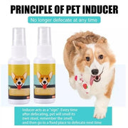 Natural Potty Training Spary for Dog & Cat (Pack of 2) 30ml each