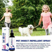 Dog Fleas And Tick Treatments For Ant Lice Fly (Pack of 1)